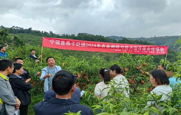 说明: 2e2384624ebe4beaf1e8f8229f2cd88