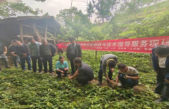 说明: c996898654180bc1fbc8b0f213abfdc