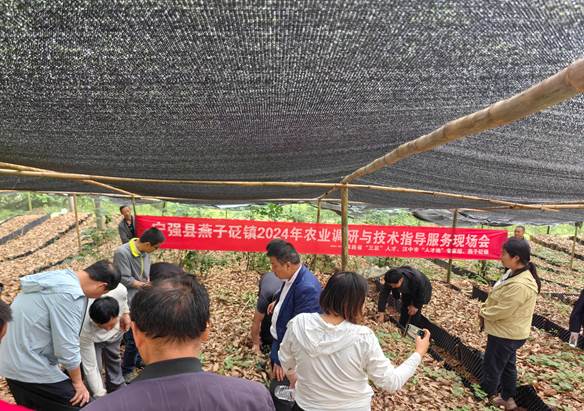 说明: 8a591d7def82553627d576c28ddfdbc